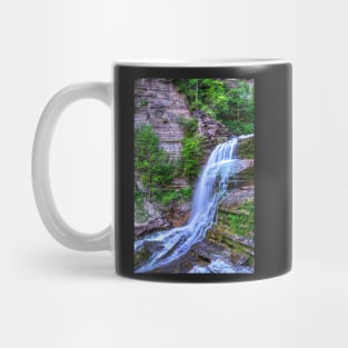 Ithaca NY Robert H. Treman State Park Flowing Water Mug